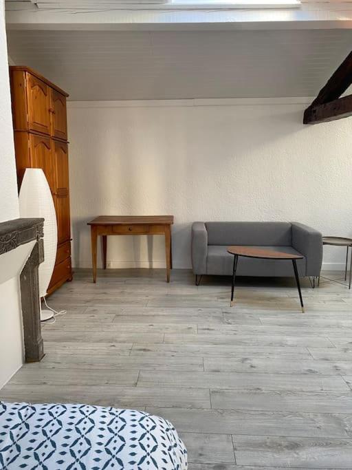 Studio Sous Les Toits Paisible Appartement Clermont-Ferrand